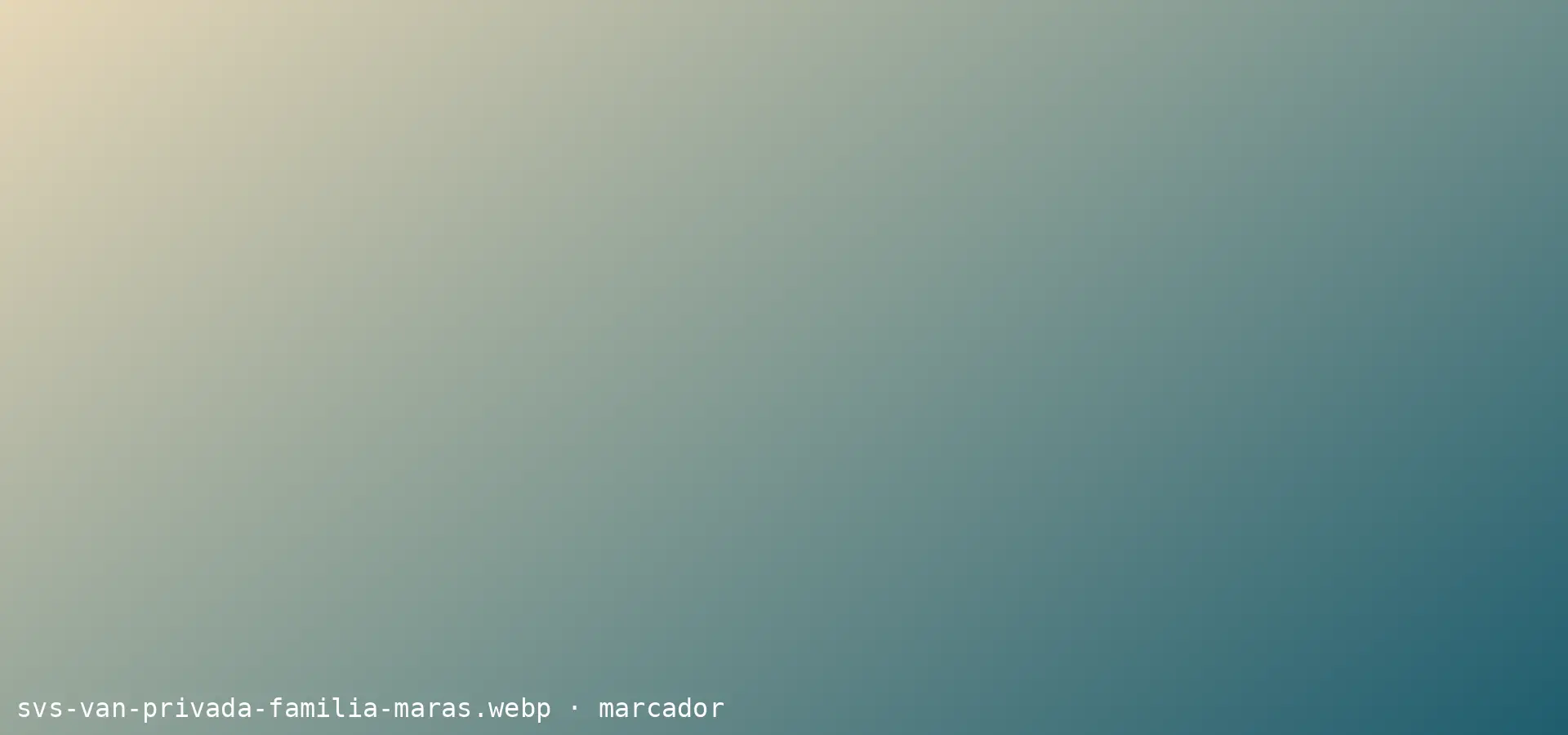Van privada esperando a una familia en las Salineras de Maras a media mañana
